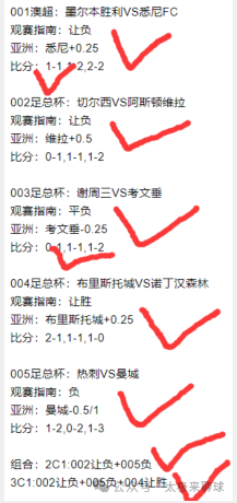 目前球队18轮联赛过后取得8胜4平6负的战绩位居德甲积分榜第7位