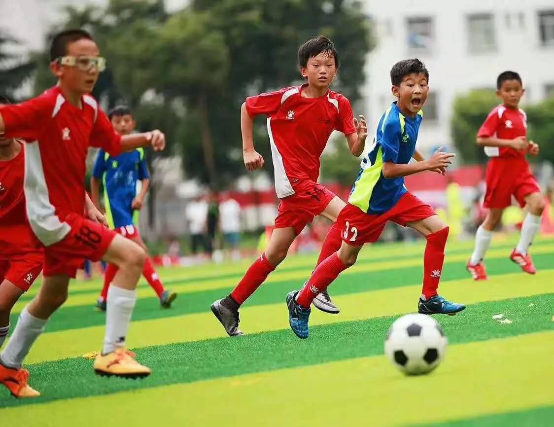 他引用了冈田武史的一段话：“日本队在世界杯取得好成绩后